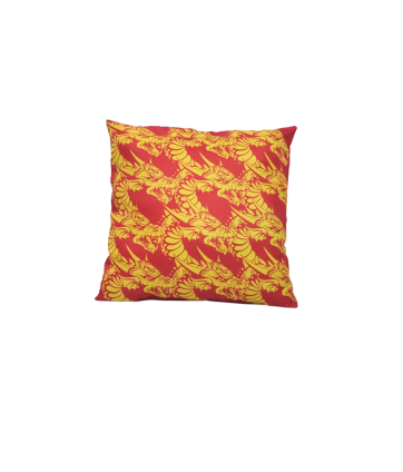 2023 COUSSIN DES DRAGONS CATALANS ROUGE ET JAUNE