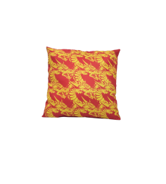 2023 COUSSIN DES DRAGONS CATALANS ROUGE ET JAUNE